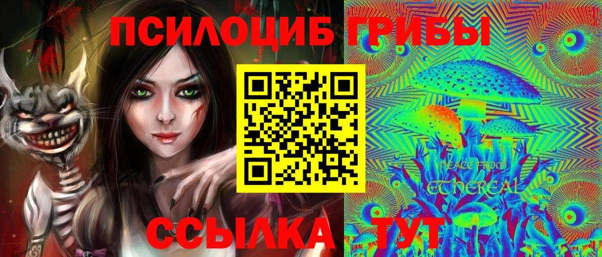 Галлюциногенные грибы прущие грибы  Галлюциногенные грибы Psilocybine cubensis  Вход с VPN  Новотроицк 