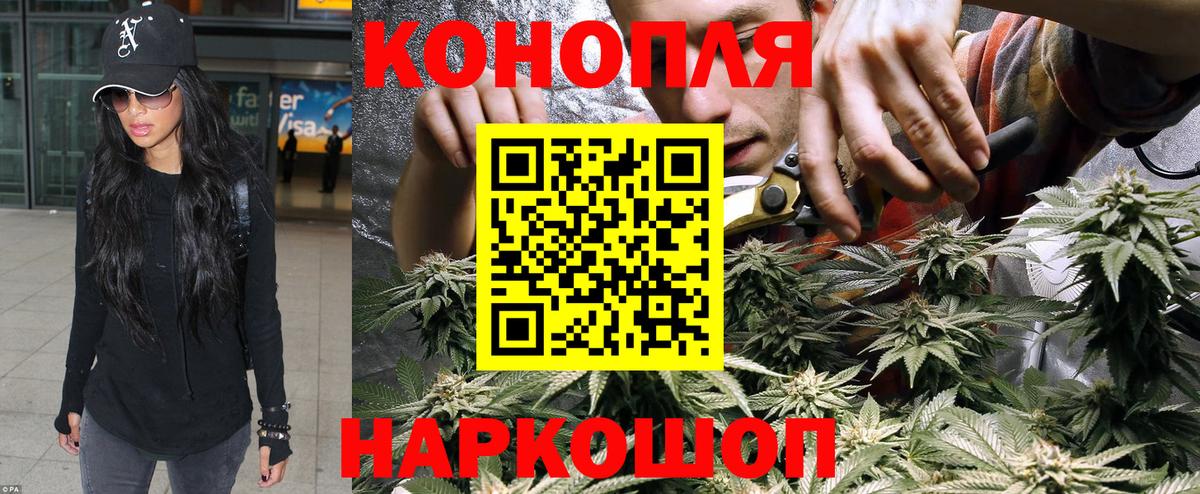 Бошки марихуана марихуана Новотроицк